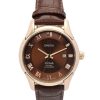 41 MM Rose gold Steel Brown Baton Replica Omega De Ville Hour Vision